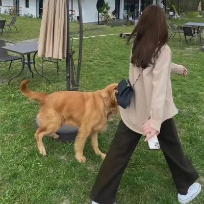 春情初放