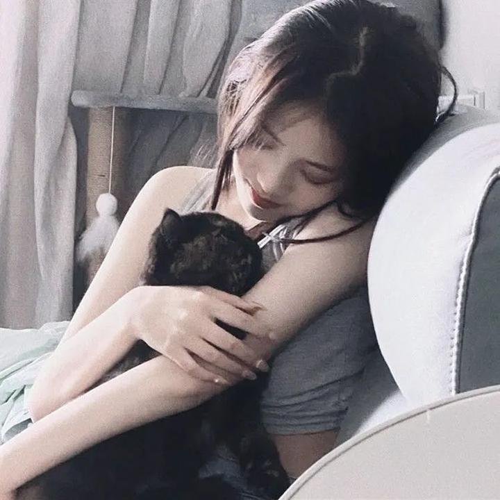 我们恋爱的履历